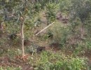  BHK Mixed-Residential for Sale in ECR