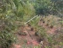  BHK Mixed-Residential for Sale in ECR