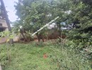 4 BHK Independent House for Sale in Jayalakshmipuram