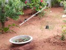 1 BHK Independent House for Rent in Vijayanagar
