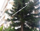 2 BHK Flat for Sale in Kaggadasapura