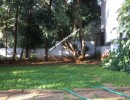 4 BHK Flat for Rent in Kanakapura road