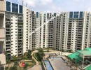 3 BHK Flat for Rent in Anna Nagar