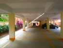 3 BHK Flat for Sale in Saibaba Colony
