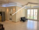 3 BHK Flat for Rent in Egmore