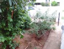 2 BHK Independent House for Sale in Kovaipudur