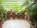 2 BHK Flat for Sale in Kalyani Nagar
