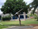 2 BHK Flat for Sale in Pisoli