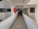 2 BHK Flat for Rent in Keshav Nagar