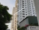 6 BHK Duplex Flat for Sale in Thoraipakkam