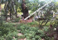 Coimbatore Real Estate Properties Showroom for Rent at R S Puram