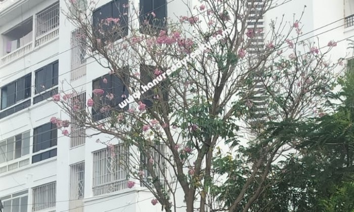 3 BHK Flat for Sale in Hinkal