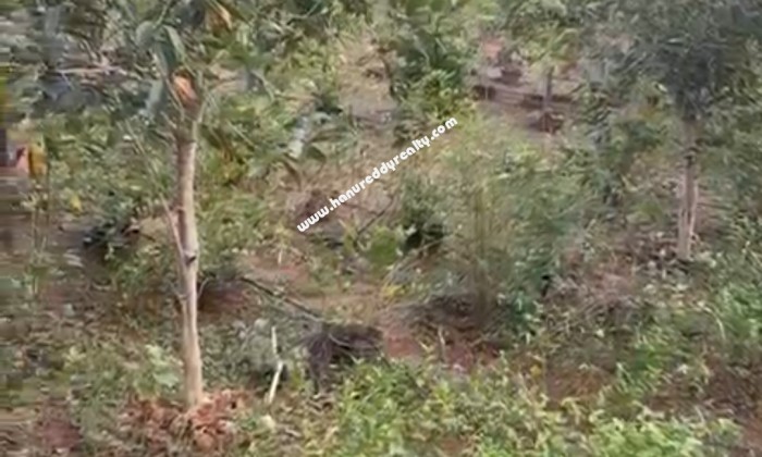  BHK Mixed-Residential for Sale in ECR