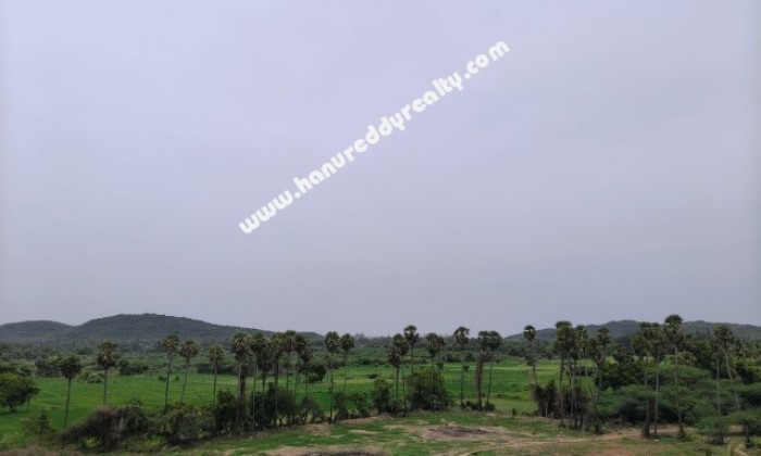  BHK Flat for Sale in Kolapakkam