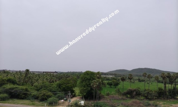  BHK Flat for Sale in Kolapakkam