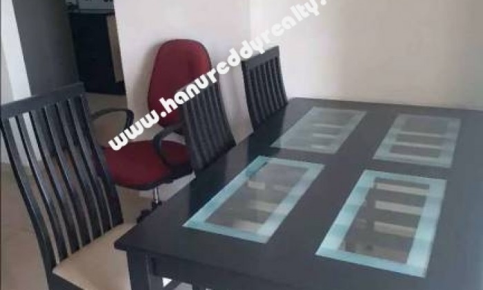 3 BHK Flat for Rent in Thoraipakkam